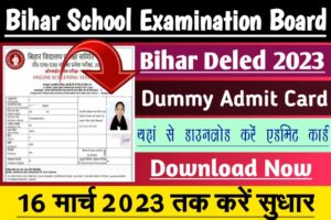 Bihar Deled Dummy Admit Card 2023 16 मार्च 2023 तक डमी एडमिट कार्ड में आनलाईन सुधार करें